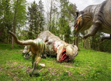 Dinopark Bled - Vstopnica za odrasle,...