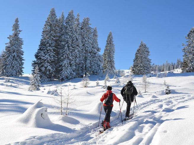 Landidyll Hotel Nudelbacher - Zimski...