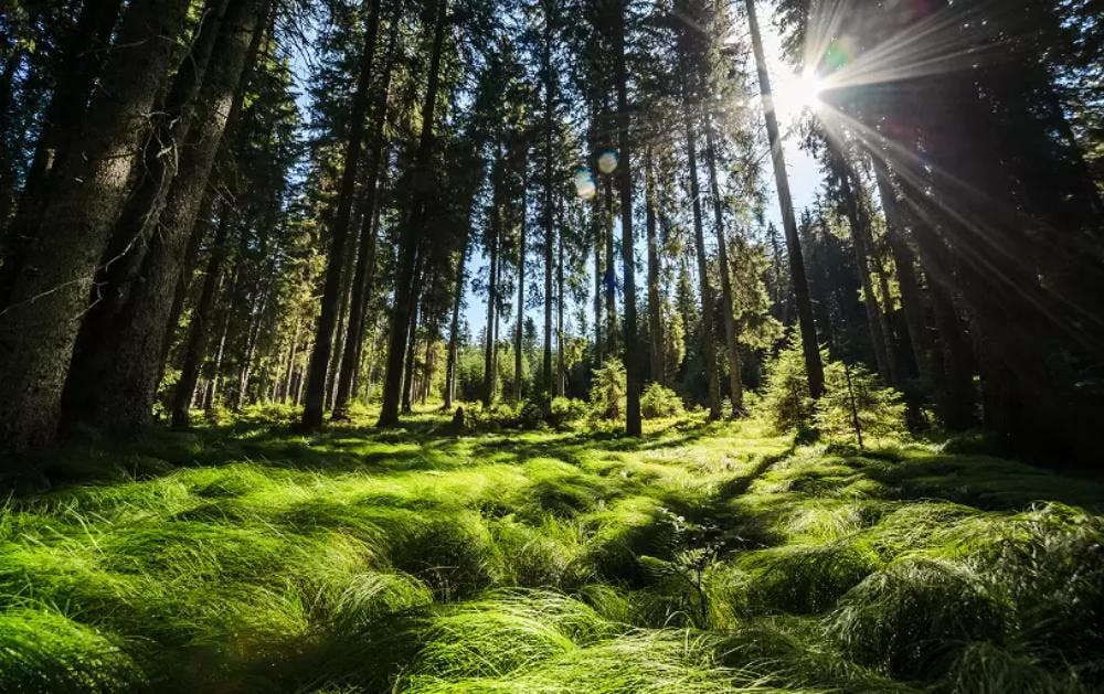 Oštarija Herbelier - Dolenjske Toplice...